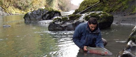 Fly fisherman holding a river caught steelhead with Raincoast Guides.